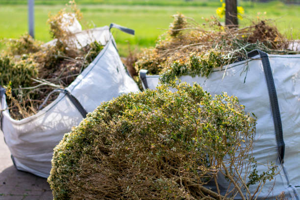 Best Appliance Removal Near Me  in Knoxville, IA